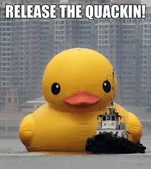 Beware for the Quackin